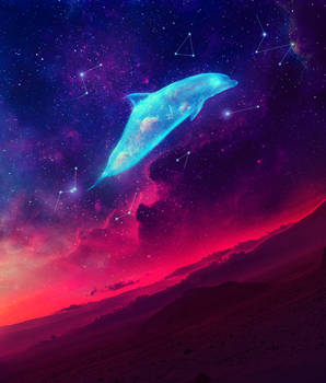 Space  Dolphin