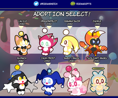 Chao Adopts 10 (2/8 OPEN! 2/3 BONUS!)