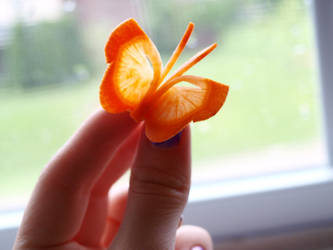 Carrot Butterfly