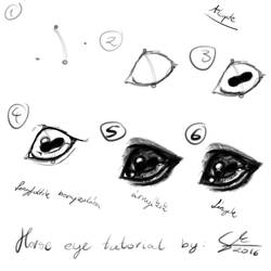 Horse Eye Tutorial