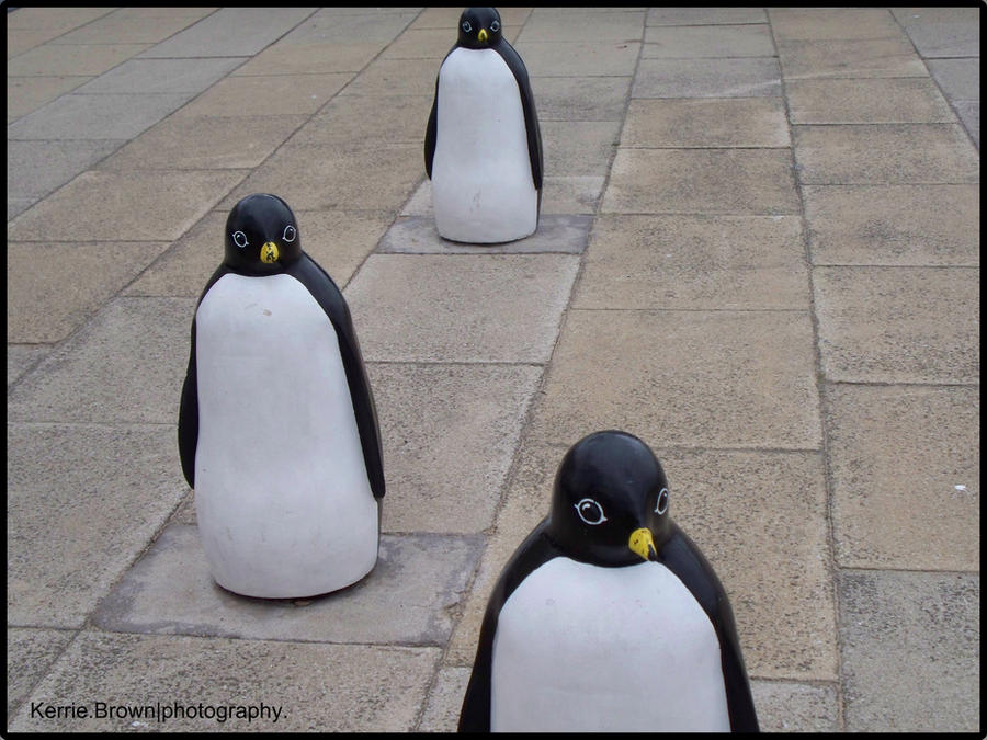 Baby Pingu S By Kerrielbrown On Deviantart Baby Pingu S By Kerrielbrown On Deviantart
