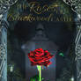 The Roses Of Blackwood Castle