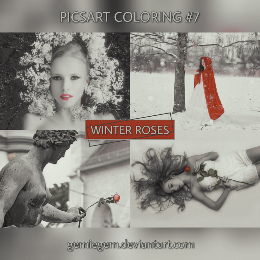 Winter Roses - PicsArt Coloring No.7