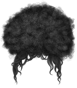 Female Afro Hair