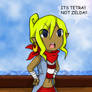 ITS TETRA XD