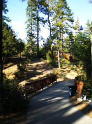 idyllwild arts