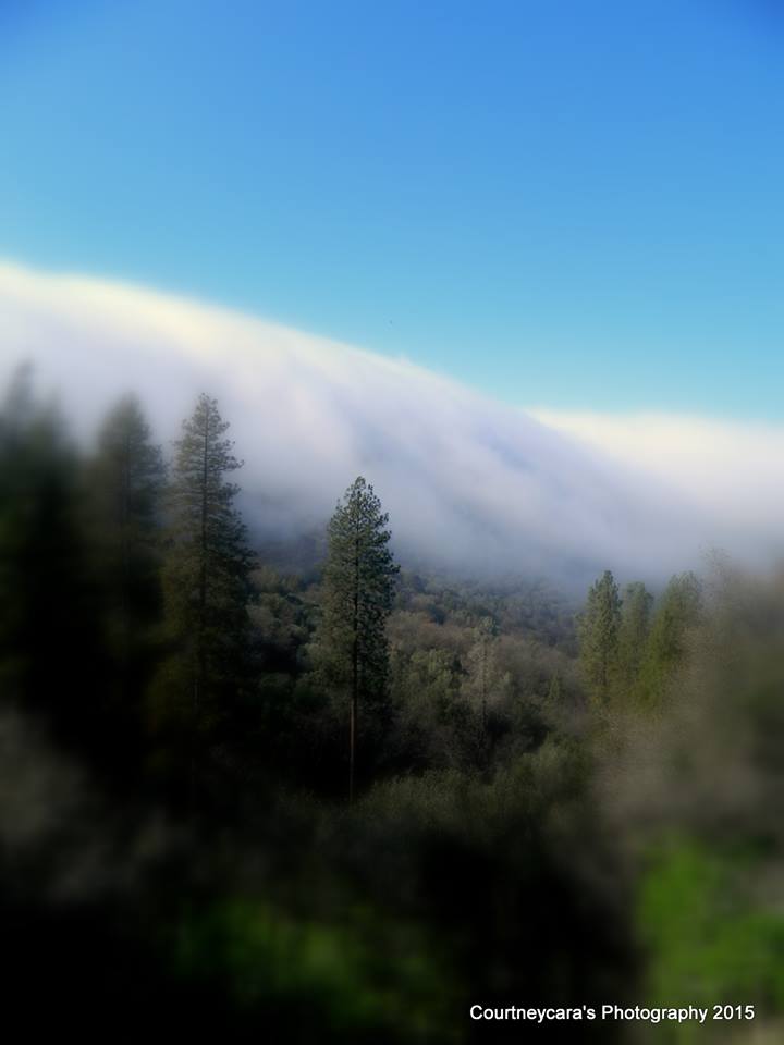 Fog rolling in 2015