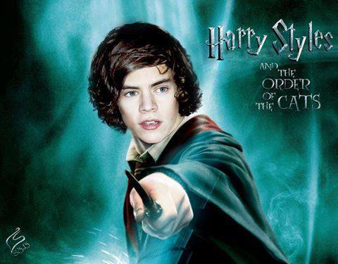 Harry styles Potter