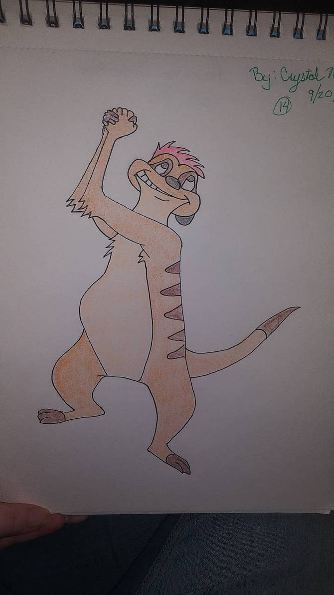 Fat Timon Fat Timon by Stitch1990 on DeviantArt