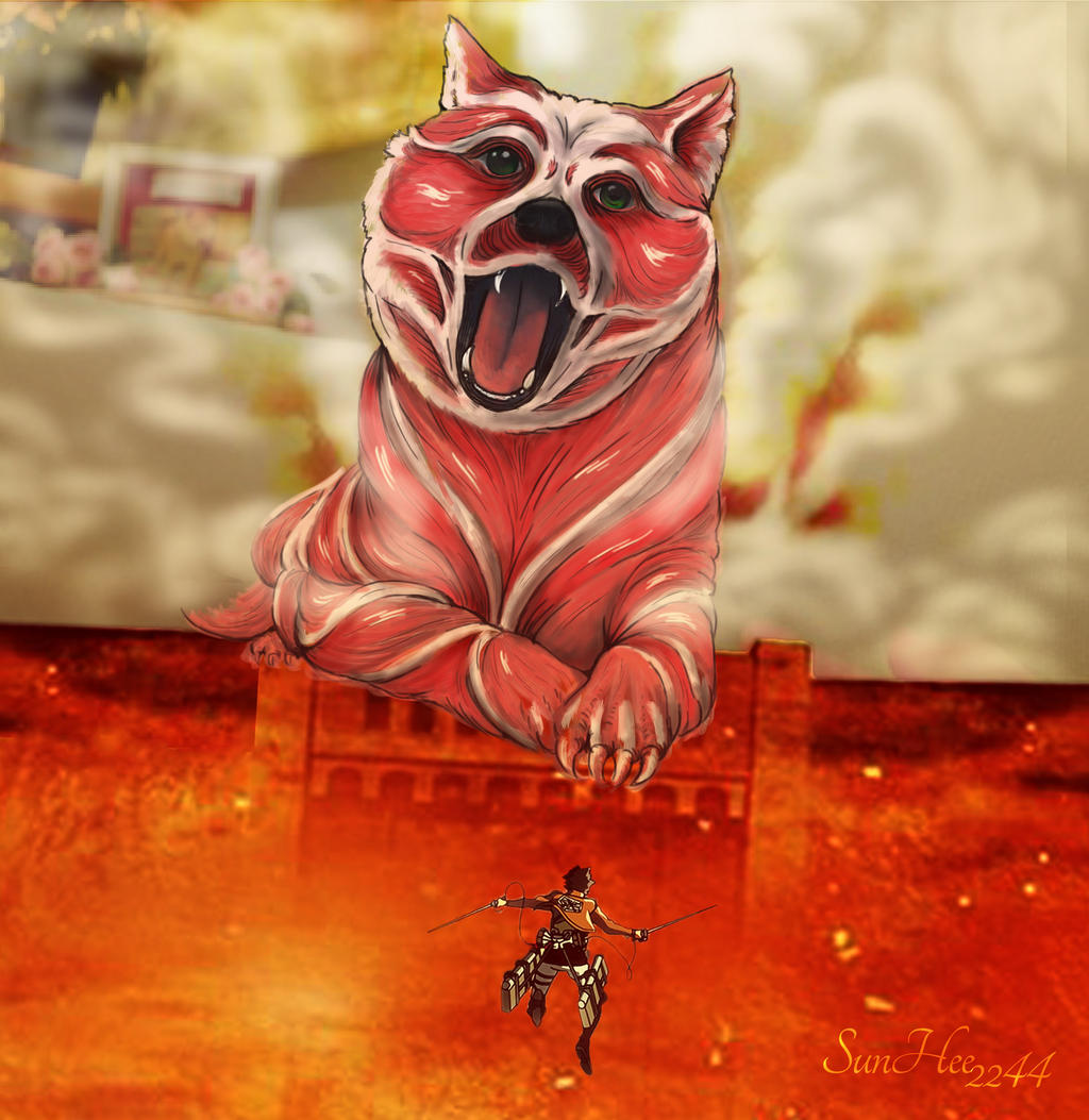 Attack on doge