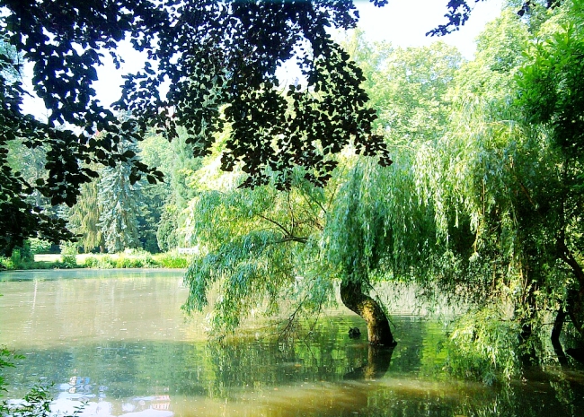 Marburg - Botanical garden