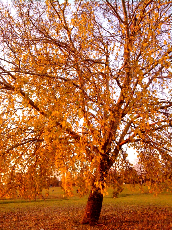 Herbstfarben