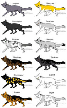 My Warrior Cats