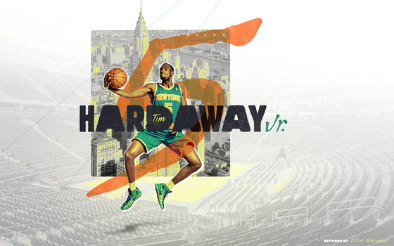 Tim Hardaway Jr