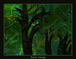 Forest Canopy - DD by rocamiadesign