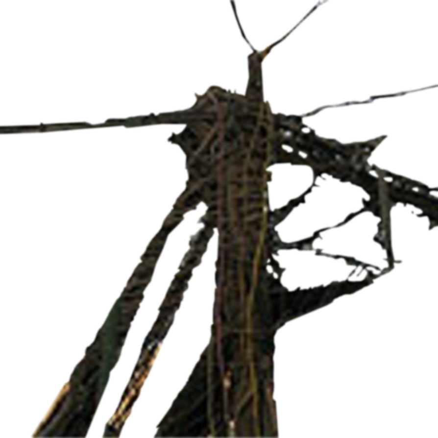 SCP-229 - Wire Weed by Sarwet46-And-SCP on DeviantArt