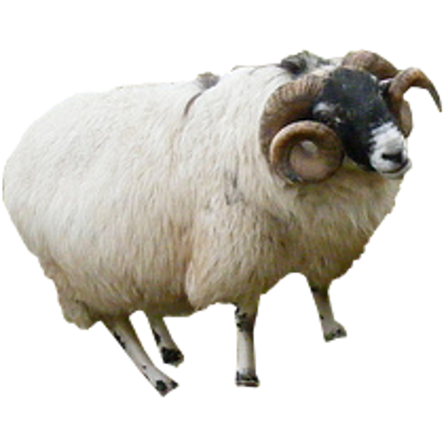 SCP-594 - Electric Sheep by Sarwet46-And-SCP on DeviantArt