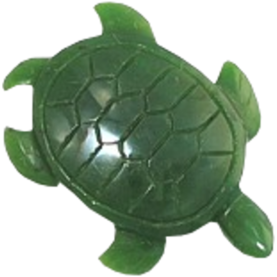 Turtle Shell Scp SCP-698 - Judgmental Turtle by Sarwet46-And-SCP on DeviantArt