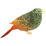 SCP-1948 - Weather Bird