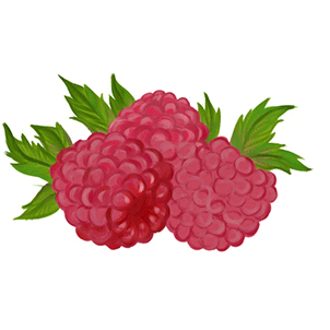 raspberries_process of drawing gif by RobinUA on DeviantArt