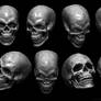 Skull Reference Sheet
