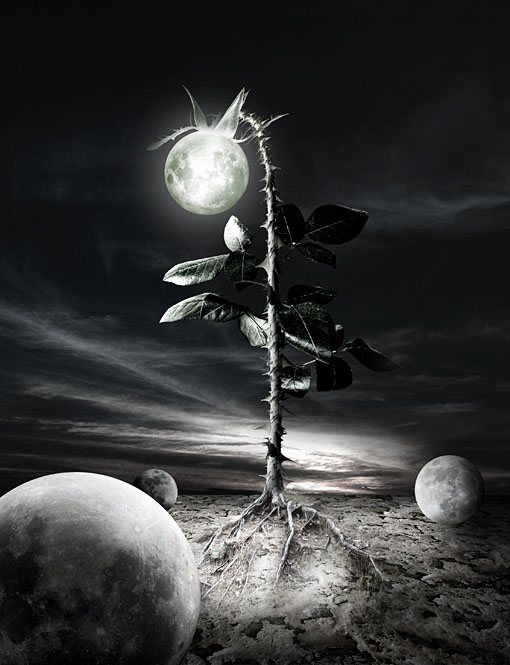 Under The Last Moon by neodecay