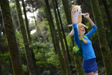 Adventure time - Fionna