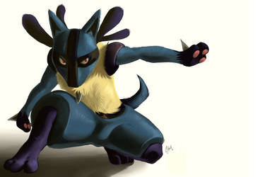 Lucario revisited