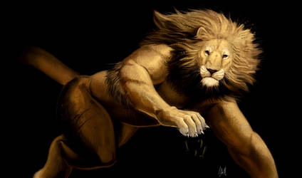 Wild lion by Crisjofreart