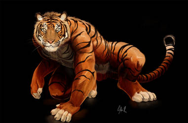 Tiger gaze by Crisjofreart