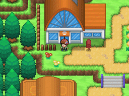 Attention to Detail on Doors by Rayquaza-dot