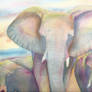 Elephants of Color