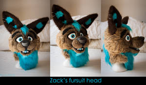 Zack fursuit's head turnaround