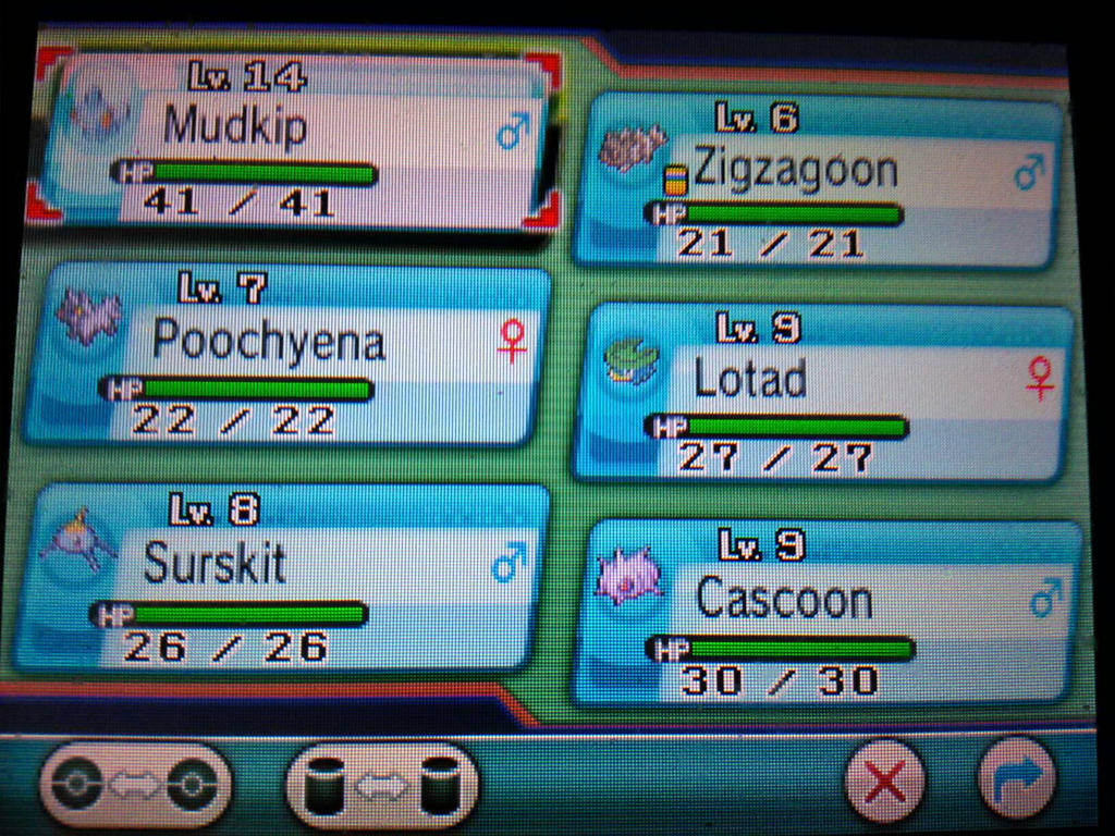 Pokemon Alpha Sapphire Party Just Started By Misstruesdale8 On Deviantart Pokemon Alpha Sapphire Party Just Started By Misstruesdale8 On Deviantart