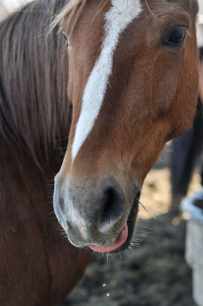 Day 7 - Lick Them Lips