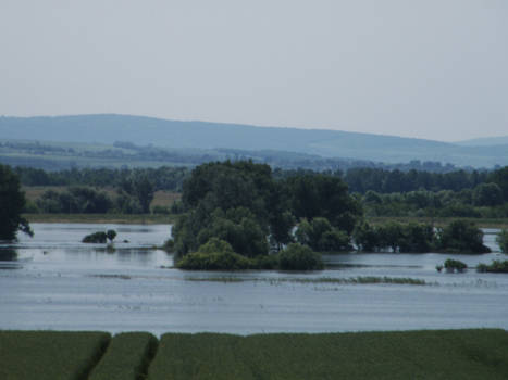 turn to lake II