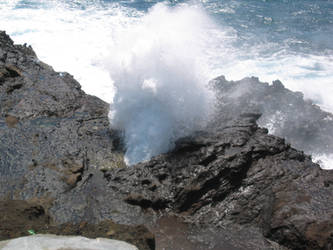 Blowhole