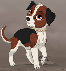 Beagel Mix adopt