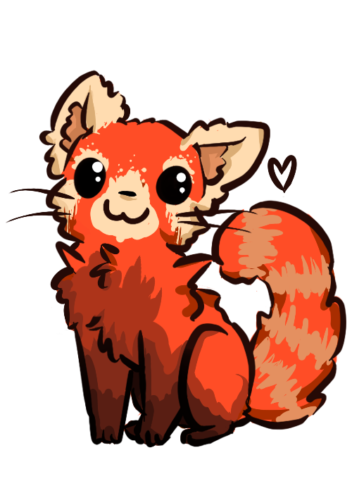 Red Panda