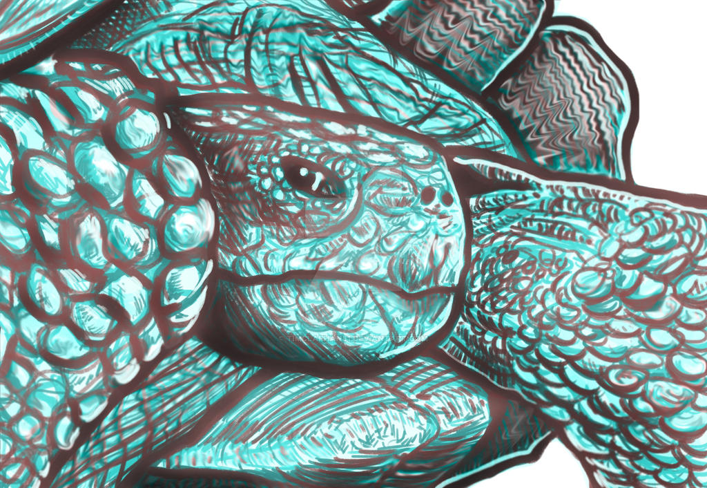 Deviantart Softshell Turtle Turtle by TimClaphan81 on DeviantArt