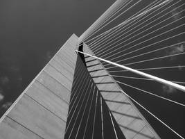 A View of The Ravenel