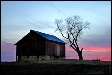 Country Life