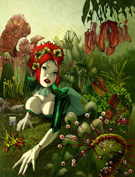 POISON IVY COL