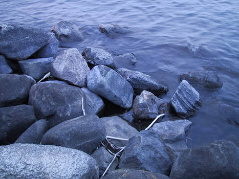 Lake Mendota Shore 1