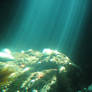 Light Undersea