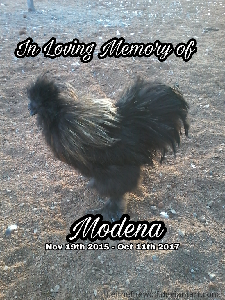 In Memory of Modena