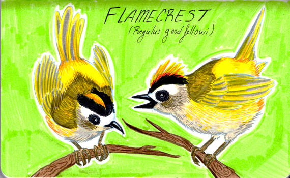 Flamecrest