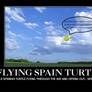 Flying Spain Turtle?!