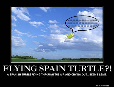 Flying Spain Turtle?!