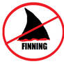 Stop Sharkfinning Profile Picture